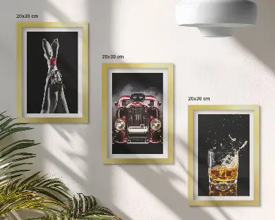 Billedrammer med motiver kvindeben med en rose, gammel bil og et glas whisky