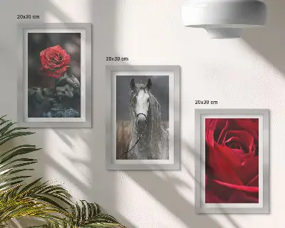 Billedvæg med motiv af røde roser og en hest i grå omgivelser