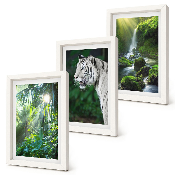 Billedvæg Jungle med en hvid tiger og et vildt vandfald