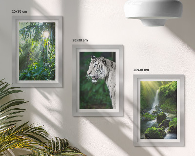 Billedvæg Jungle med en hvid tiger og et vildt vandfald