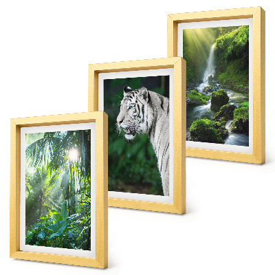 Billedvæg Jungle med en hvid tiger og et vildt vandfald