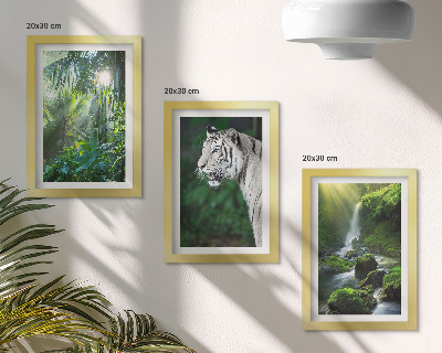 Billedvæg Jungle med en hvid tiger og et vildt vandfald