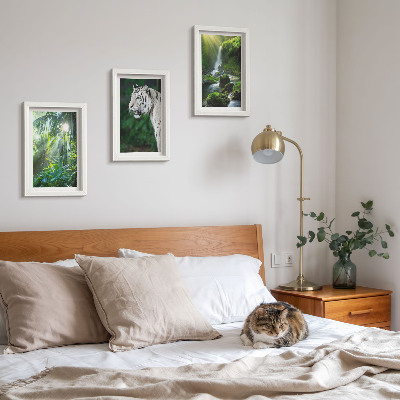 Billedvæg Jungle med en hvid tiger og et vildt vandfald