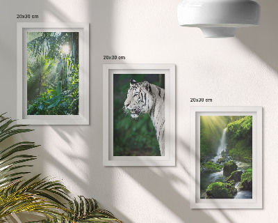 Billedvæg Jungle med en hvid tiger og et vildt vandfald