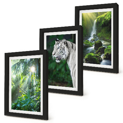 Billedvæg Jungle med en hvid tiger og et vildt vandfald