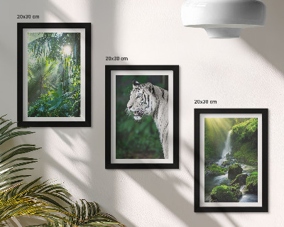 Billedvæg Jungle med en hvid tiger og et vildt vandfald