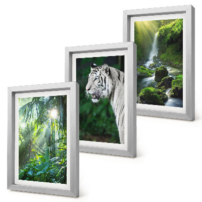 Billedvæg Jungle med en hvid tiger og et vildt vandfald