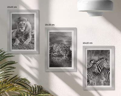 Billedvæg Vilde dyr på savannen: løve, jaguar og zebra
