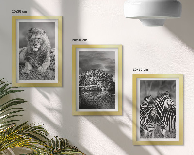 Billedvæg Vilde dyr på savannen: løve, jaguar og zebra
