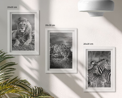 Billedvæg Vilde dyr på savannen: løve, jaguar og zebra
