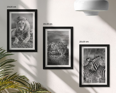 Billedvæg Vilde dyr på savannen: løve, jaguar og zebra
