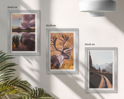 Billedvæg Bjerglandskaber med rensdyr og en vej i naturen