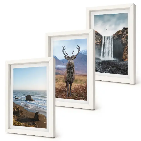 Billedvæg med rammer motiver af bjerglandskaber med vandfald, hjort og strand