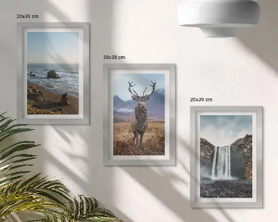 Billedvæg med rammer motiver af bjerglandskaber med vandfald, hjort og strand