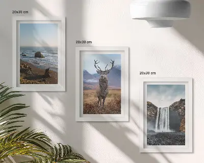 Billedvæg med rammer motiver af bjerglandskaber med vandfald, hjort og strand