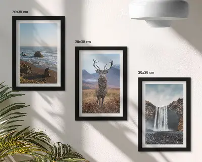Billedvæg med rammer motiver af bjerglandskaber med vandfald, hjort og strand