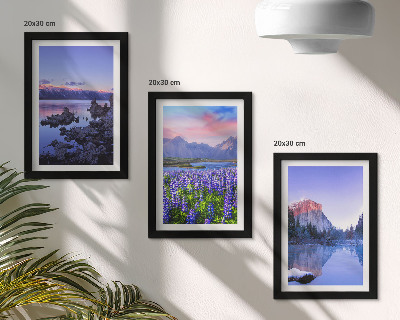 Pakke med billeder og rammer Bjerglandskaber med vand, himmel og en blomstermark
