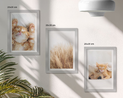 Moderne billedsæt Søde dyr katte hunde delikat græs boho