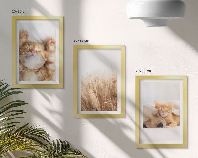 Moderne billedsæt Søde dyr katte hunde delikat græs boho