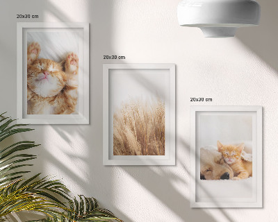 Moderne billedsæt Søde dyr katte hunde delikat græs boho