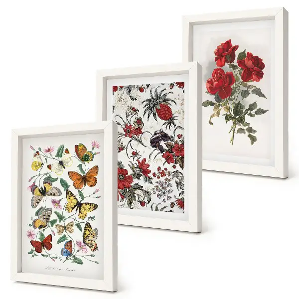 Billedvæg med sommerfugle, blomster og røde roser i klassisk stil
