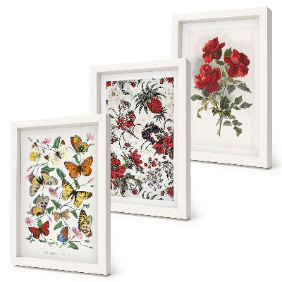 Billedvæg Sommerfugle, blomster og røde roser i klassisk stil