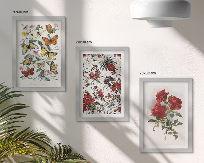 Billedvæg Sommerfugle, blomster og røde roser i klassisk stil