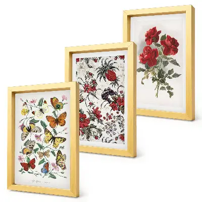 Billedvæg med sommerfugle, blomster og røde roser i klassisk stil