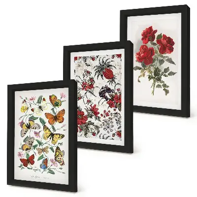 Billedvæg med sommerfugle, blomster og røde roser i klassisk stil