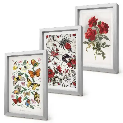 Billedvæg med sommerfugle, blomster og røde roser i klassisk stil