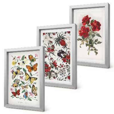 Billedvæg Sommerfugle, blomster og røde roser i klassisk stil