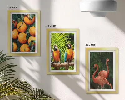 Moderne billedsæt med frugtagtige accenter, papegøjer og flamingoer i troperne