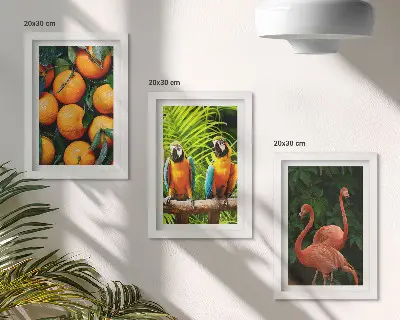 Moderne billedsæt med frugtagtige accenter, papegøjer og flamingoer i troperne