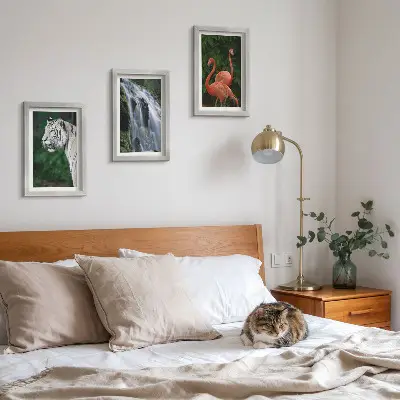 Pakke med billeder og rammer med motiv af tigervandfald og lyserøde flamingoer i naturen