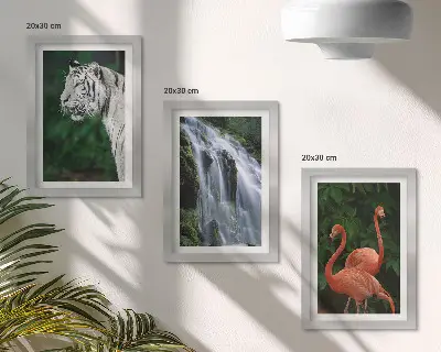 Pakke med billeder og rammer med motiv af tigervandfald og lyserøde flamingoer i naturen