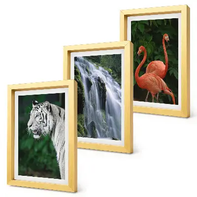 Pakke med billeder og rammer med motiv af tigervandfald og lyserøde flamingoer i naturen