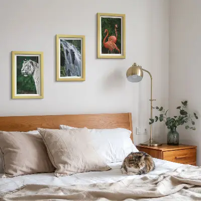 Pakke med billeder og rammer med motiv af tigervandfald og lyserøde flamingoer i naturen