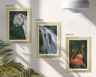 Pakke med billeder og rammer med motiv af tigervandfald og lyserøde flamingoer i naturen