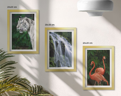 Pakke med billeder og rammer Tigervandfald og lyserøde flamingoer i naturen