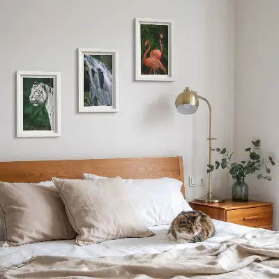 Pakke med billeder og rammer med motiv af tigervandfald og lyserøde flamingoer i naturen