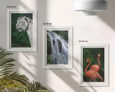 Pakke med billeder og rammer med motiv af tigervandfald og lyserøde flamingoer i naturen