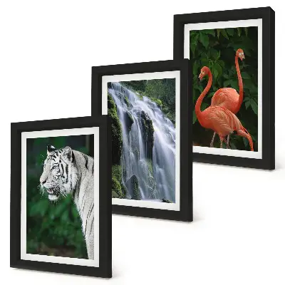 Pakke med billeder og rammer med motiv af tigervandfald og lyserøde flamingoer i naturen