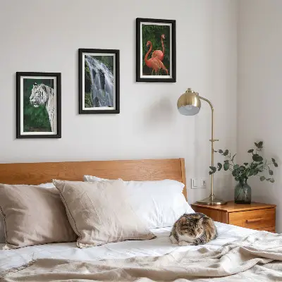 Pakke med billeder og rammer med motiv af tigervandfald og lyserøde flamingoer i naturen