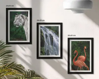 Pakke med billeder og rammer med motiv af tigervandfald og lyserøde flamingoer i naturen