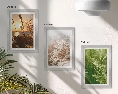 Pakke med billeder og rammer fotografier af farverigt græs i naturen