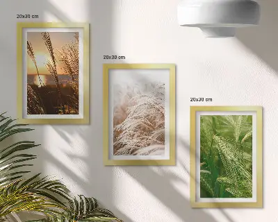 Pakke med billeder og rammer fotografier af farverigt græs i naturen