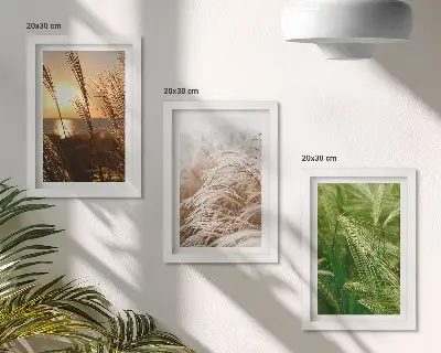 Pakke med billeder og rammer fotografier af farverigt græs i naturen