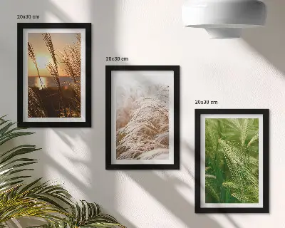 Pakke med billeder og rammer fotografier af farverigt græs i naturen