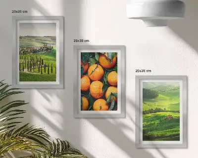 Moderne billedsæt italiensk landskab med appelsiner og natur