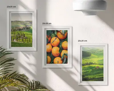 Moderne billedsæt italiensk landskab med appelsiner og natur